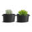 VEVOR Growing Kit-100614000
