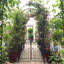 Arche de jardin en métal avec barrière et deux supports à plantes - 79,5 po de largeur x 86,6 po de hauteur, support pour plantes grimpantes, tonnelle d'extérieur, noir
