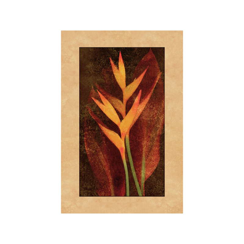 John Seba - Wrapped Canvas Print, 101.6 cm H x 66.04 cm W x 3.175 cm D