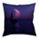Housse de coussin en coton David Khieu