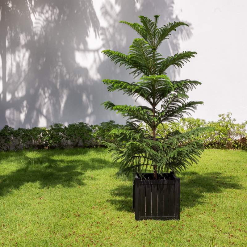 Wood Planter Box, Black