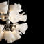 Mobius 16 - Light Sputnik Sphere Chandelier-1329426763