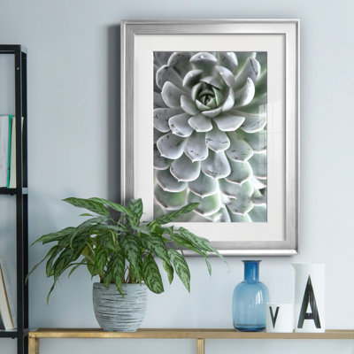 Zen Succulent IV by Irene Weisz - Matted and Framed Under Acrylic Glass, Large Living Room Wall Art