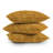  Polyester Indoor/Outdoor Throw Pillow-2022278745