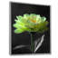 Vert, noir, jardin, glamour, souci, art mural-110988783-148096706