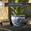Pot à fleurs en porcelaine Dianie-771723930