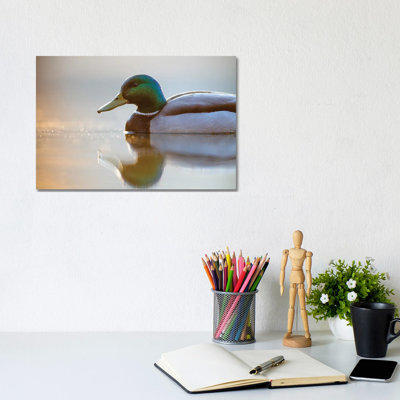 Mallard 1 Piece Wrapped Canvas Wall Art