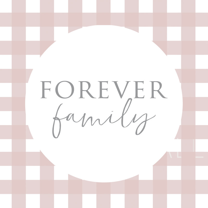 Blush Check Family - Wrapped Canvas Print, 30cm H x 30cm W x 3.8cm D