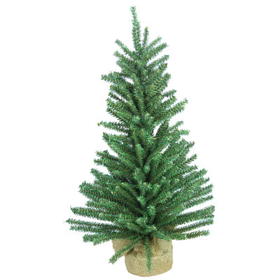 24' Pine Christmas Tree