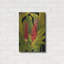 Luxe Metal Art 'Dramatic Red Ginger' By Tim O'Tool " Luxe Metal Art 'Dramatic Red Ginger' By Tim O'Toole, Metal Wall Art, 16"x24" " by Tim O'Toole