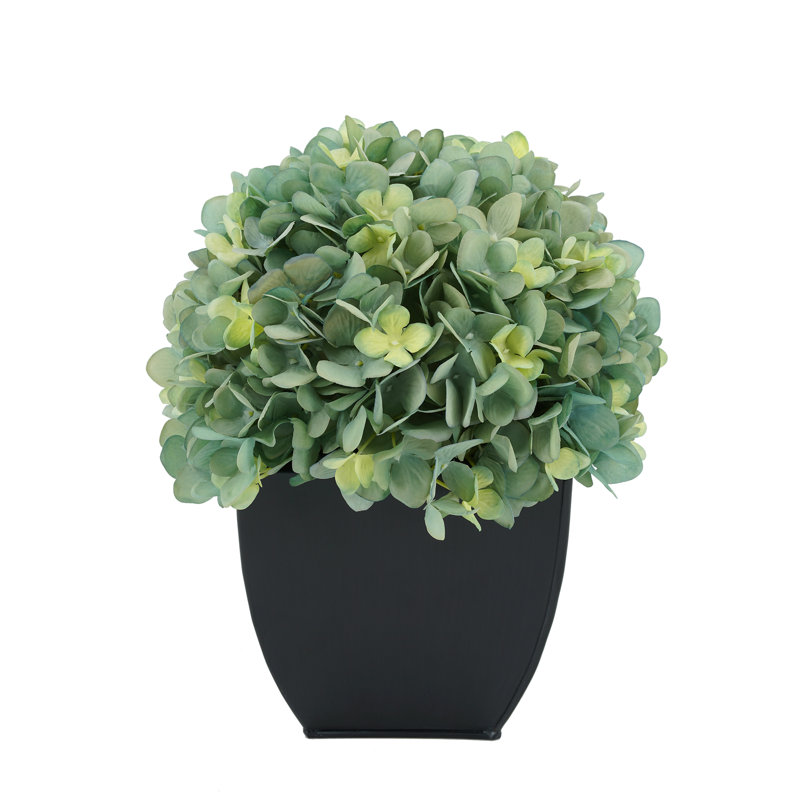 Arrangement floral hortensia en pot, Bleu sarcelle