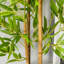 120cm Faux Bamboo Plant in Cement Pot