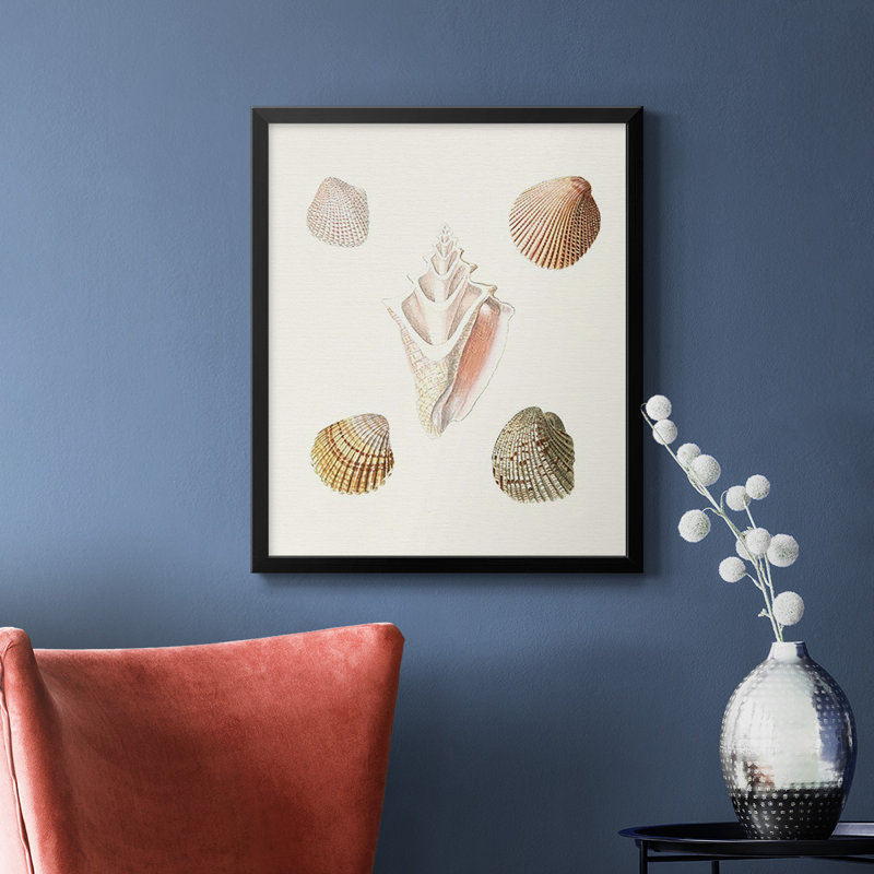 Toile encadrée Pastel Knorr Shells, H 24 po x l 20 po, Noir