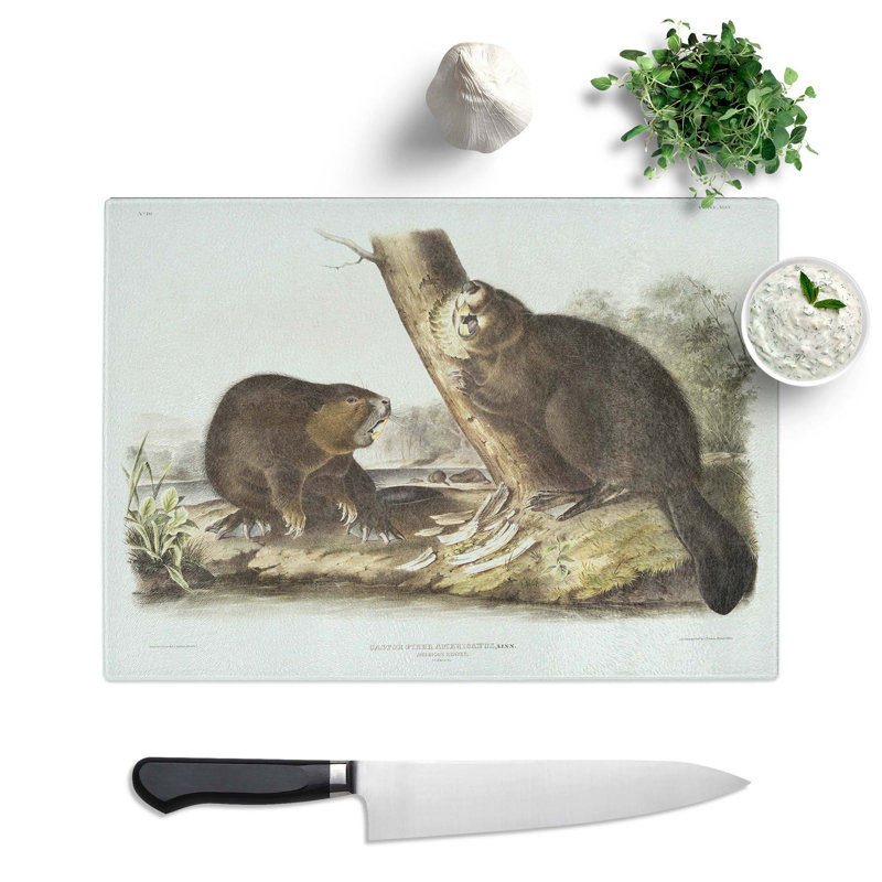 Tempered Glass American Beavers by J.W. Audubon Chopping Board, 39cm W x 28.5cm L