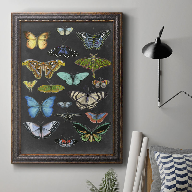«Graphic Butterfly Taxonomie I», reproduction sur toile encadrée, H 36 po x l 24 po x P 2,5 po