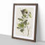 Green-Crested Flycatcher by John Audubon - Picture Frame Painting Print-55608958-55608959