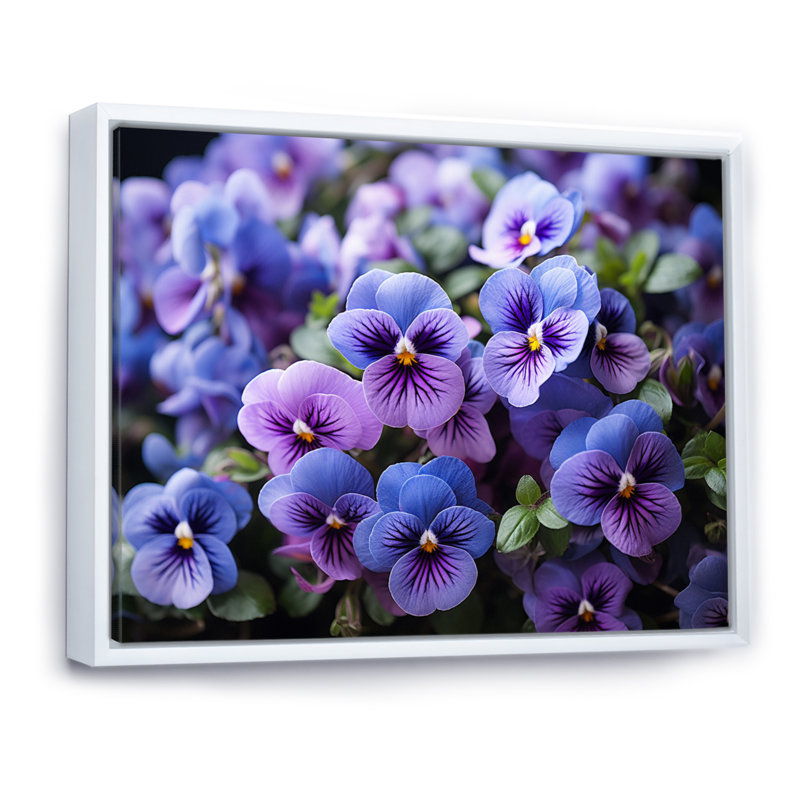 «Purple Pansies Field Vibrant» sur toile, H 34 po x l 44 po x P 1,5 po, Cadre flottant blanc