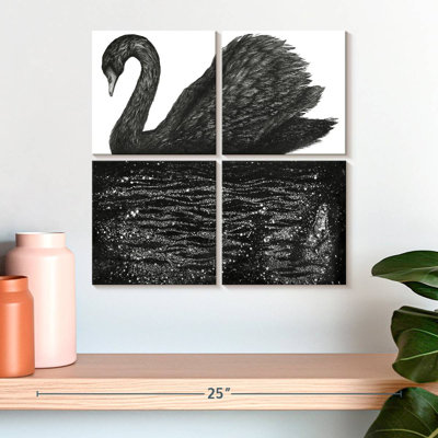 Brampt Black Swan Reflection