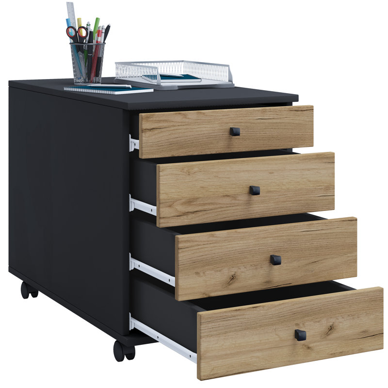 Rayiona 42 cm W Filing Cabinet, 75cm H x 42cm W x 57cm D, Black/Brown