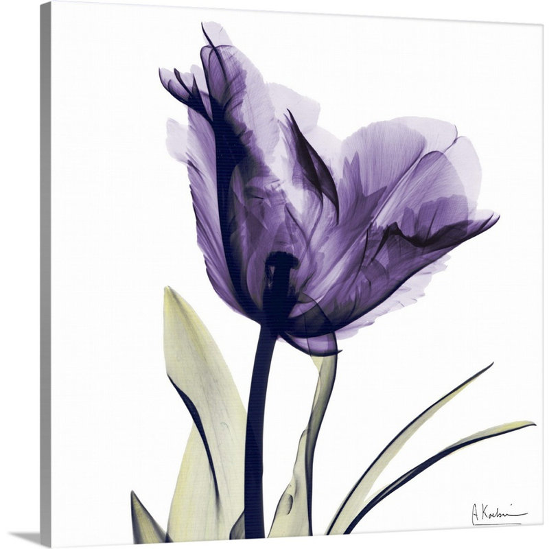 Manigault 'Purple Flower by Kiranjit Photographic Print, 20" H x 20" W x 1.5" D, Canvas