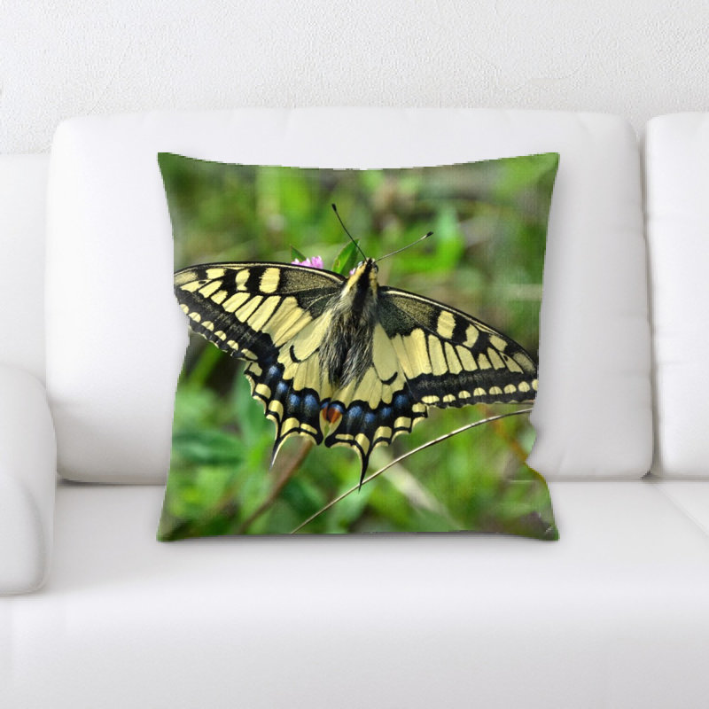 Coussin décoratif papillon