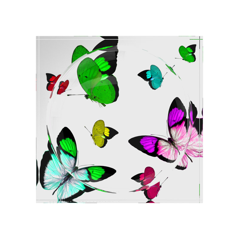 Butterflies Acrylic Candy Catchall Dish, Acid Green