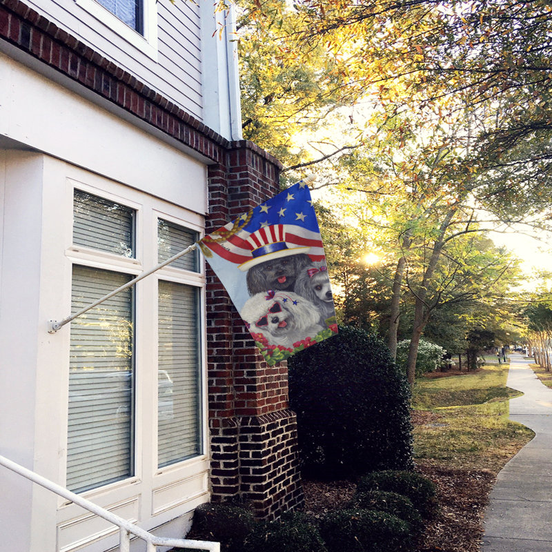 Drapeau de maison Hvidovre Sheltie Halloween en polyester à 2 faces 3 x 2 pi, Caniche États-Unis