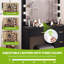 Debenedetto Dressing Table