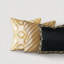 Roxanne Square Pillow Cover & Insert