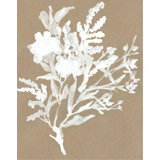 Plant Study V Painting by Fern Cassidy