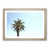Oak Framed