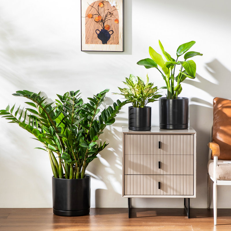 FLHPOT Ceramic Pot Planter