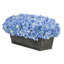 Arrangement d'hortensias en tissu synthétique bleu en pot-1229956899-1298692314