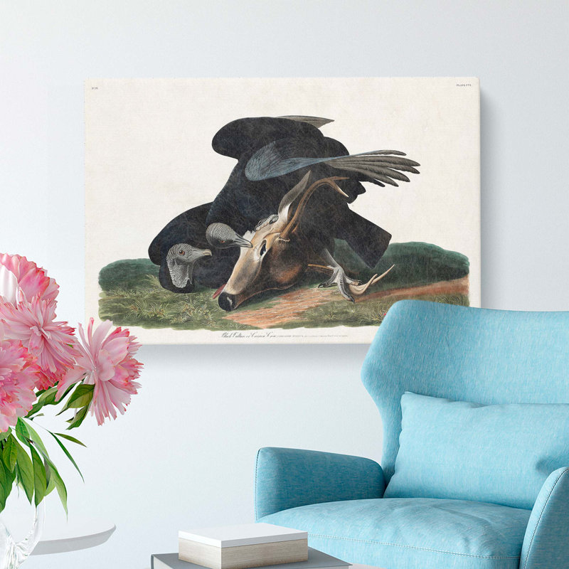Black Vultures - Wrapped Canvas Painting, 50cm H x 76cm W x 3cm D