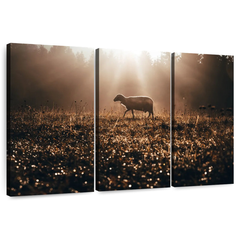 Mouton Brampt, H 42 po x l 65 po