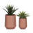 Dalya Cachepot-86901326