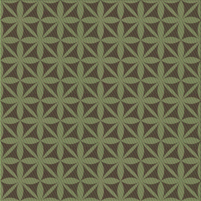 Indoor Rug