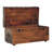 Black Buffalo Hide Leather Storage Trunk