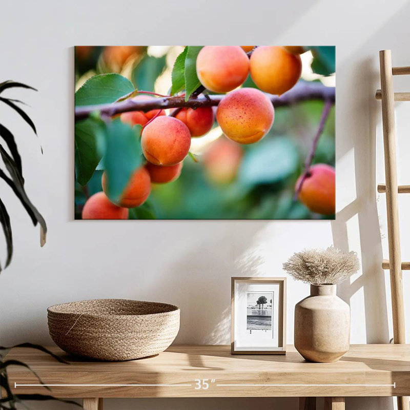 Yarlin Apricots For Harvest, 16" H x 24" W