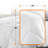 All Season Polyester Down Alternative Comforter-30503538
