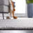 Bliven Hand Loomed Performance Solid Color Rug-158197370