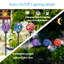 3 pièces de lumières solaires d'extérieur en mosaïque solaire décoratives pour jardin