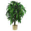 Faux Foliage and Mango Plant and Tree Plant in Plastic Pot Liner-1962474325