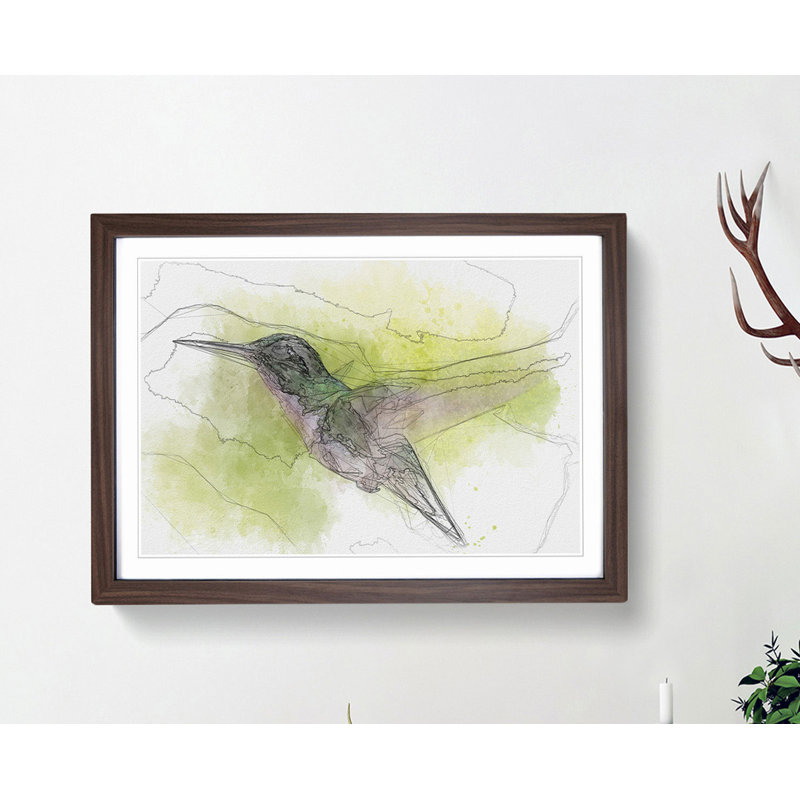 Hummingbird in Costa Rica in Abstract - Picture Frame Graphic Art Print, 40cm H x 60cm W x 2cm D, Walnut