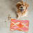 Blushing Grooves - 1 Piece Bone Shape Feeding Mat-101634636