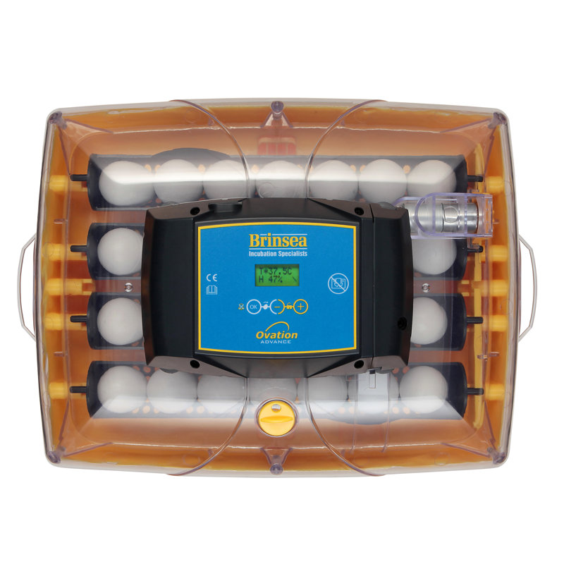 Ovation 28 Yellow Digital Egg Incubator with Humidity Display