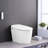 Smart Toilet With Night , Off Flush, Heated Seat. Ceramic, 18.84In Height, 100.31Lb Package Weight Ceramic Toilet, Auto Side Knob Control. 30.9In Depth, Seat, Silent Slow Down
