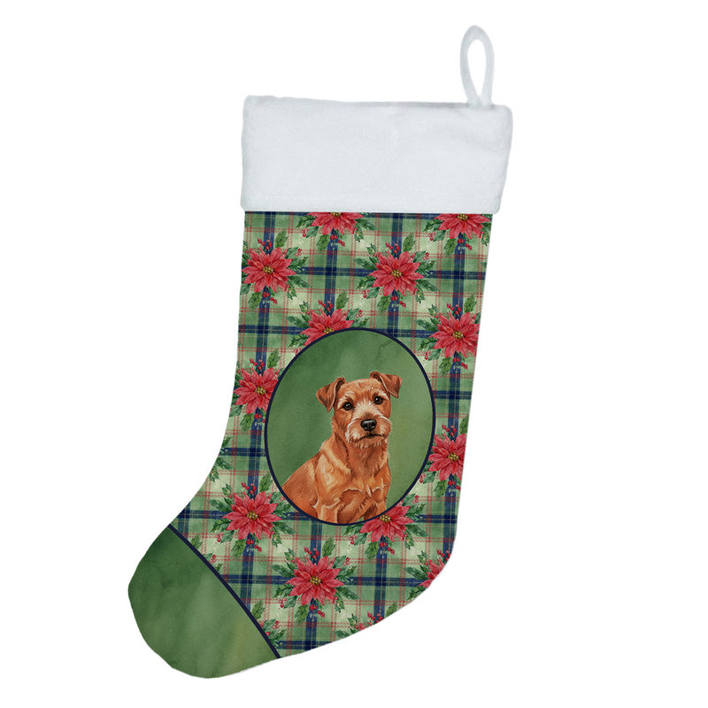 Chaussette de Noël rouge Norfolk Terrier PoinsettIas