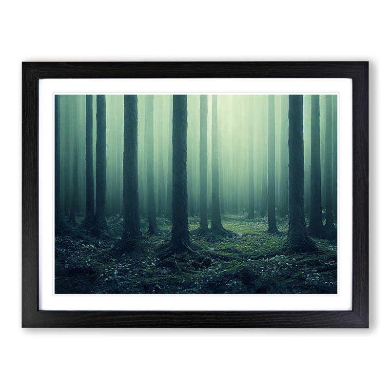 Forest Mist Vol.1 - Single Picture Frame Painting, Black, 46cm H x 64cm W x 2cm D