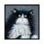 Juniper par Kim Haskins-reproduction d’art-53976704-53976706-53976722